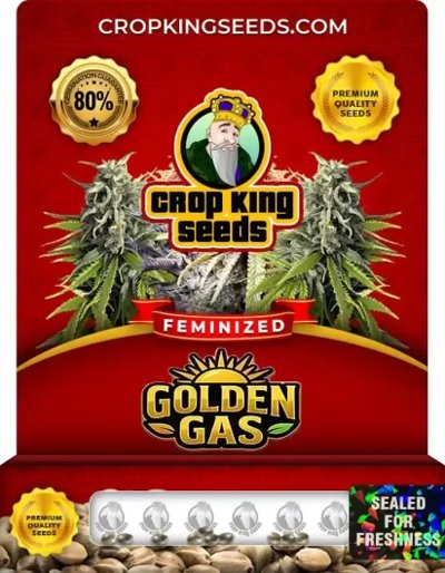 Golden Gas