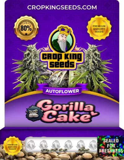 Gorilla Cake Autoflower