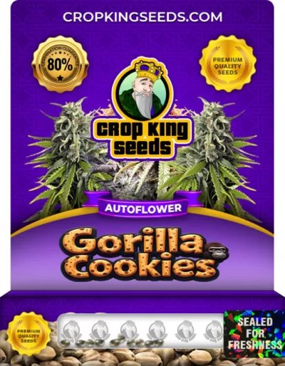 Gorilla Cookies Autoflower