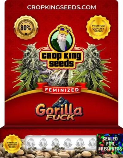Gorilla Fuck