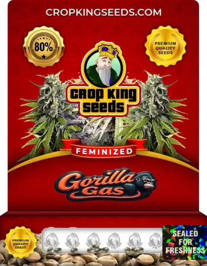 gorilla-gas-image