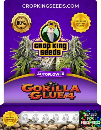 Gorilla Glue #4 Autoflower