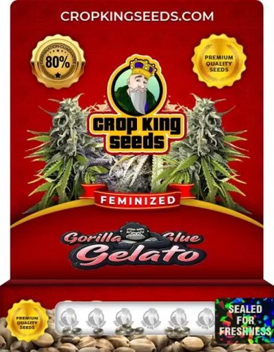 Gorilla Glue Gelato
