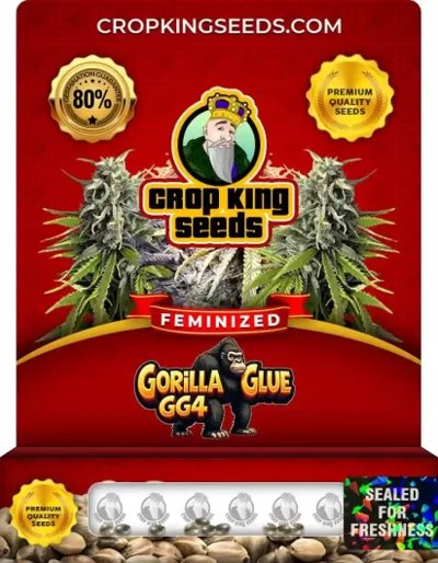 Gorilla Glue GG4