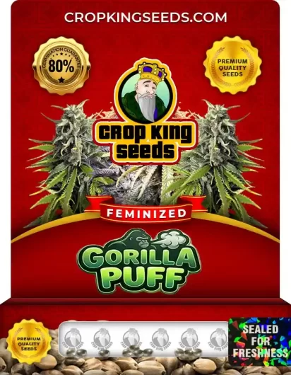 gorilla-puff-image