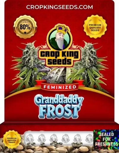 Granddaddy Frost