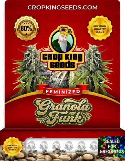 granola-funk-image