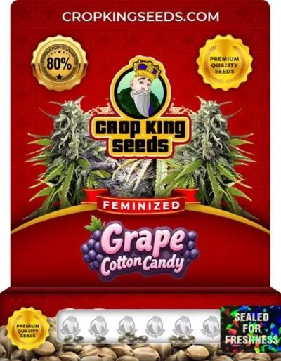 Grape Cotton Candy