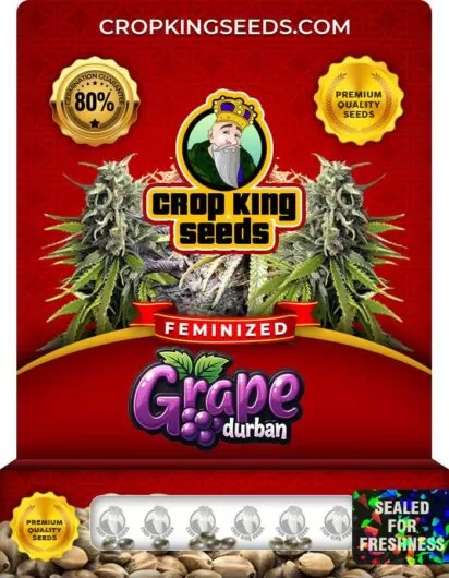 grape-durban-image