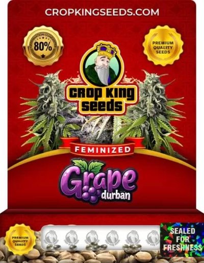 Grape Durban