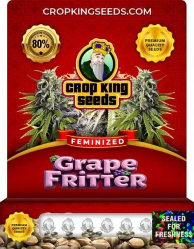 Grape Fritter