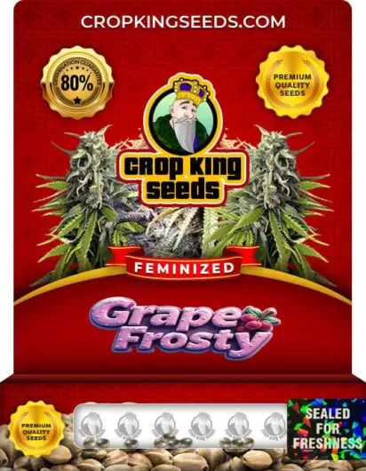 grape-frosty-image
