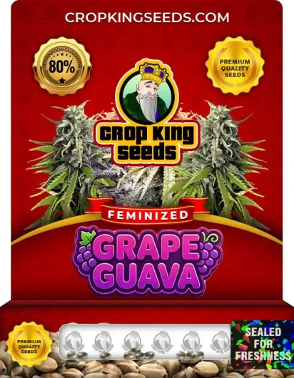 grape-guava-image