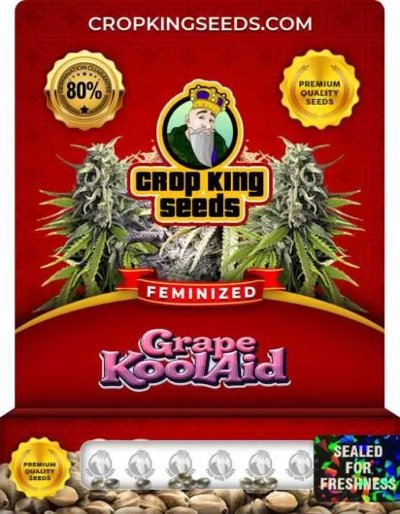 Grape Kool Aid
