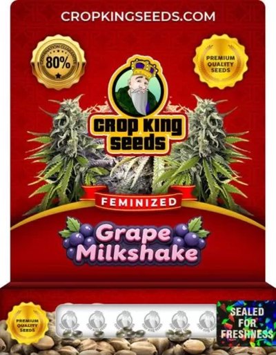 Grape Milkshake