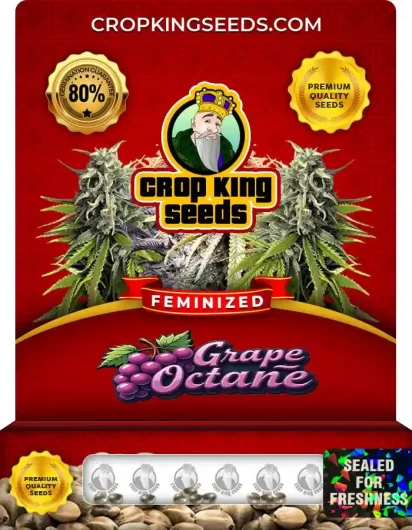 grape-octane-image