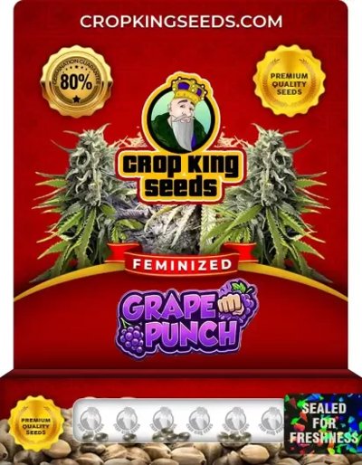 Grape Punch