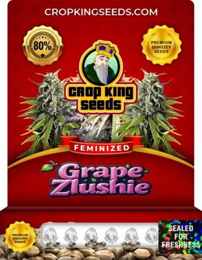 Grape Zlushie