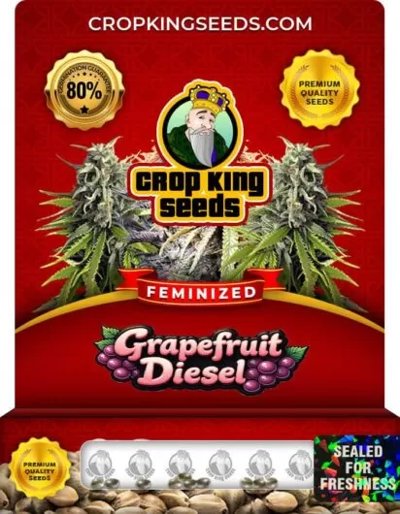 Grapefruit Diesel