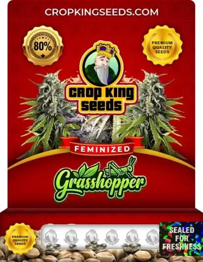 Grasshopper