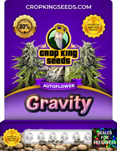 gravity-autoflower-image