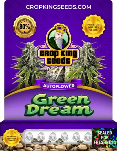 Green Dream Autoflower