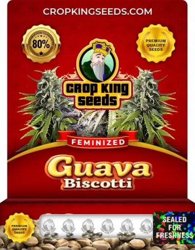 Guava Biscotti