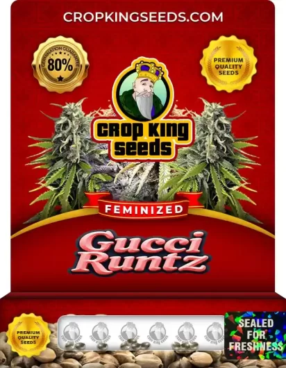 gucci-runtz-image