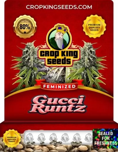Gucci Runtz