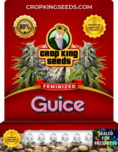 guice-image