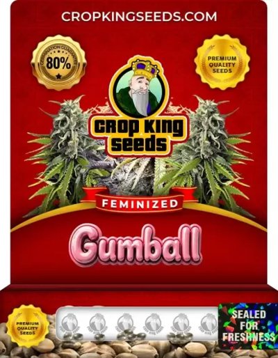 Gumball