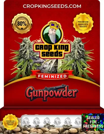 gunpowder-image