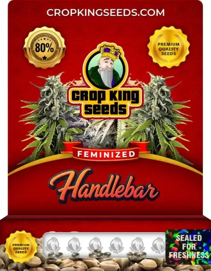 handlebar-image