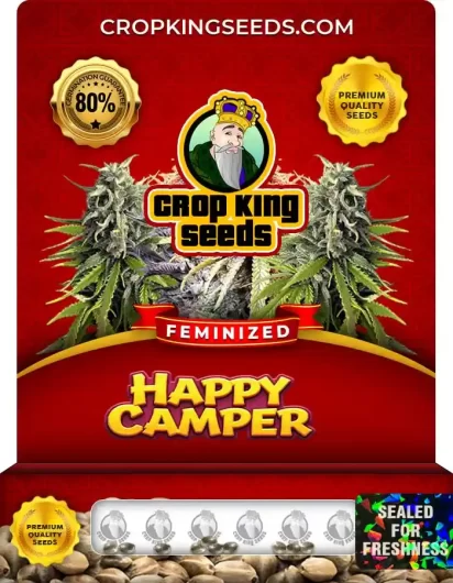 happy-camper-image