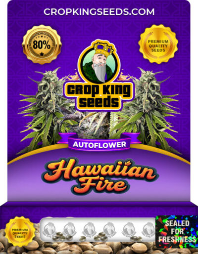 Hawaiian Fire Autoflower