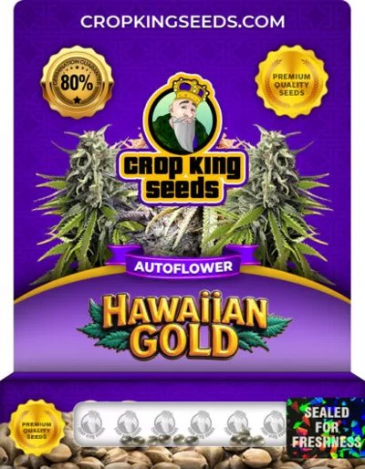 Hawaiian Gold Autoflower