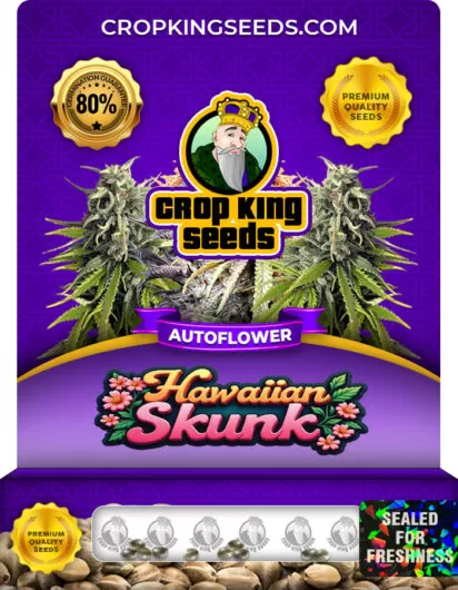 hawaiian-skunk-autoflower-image