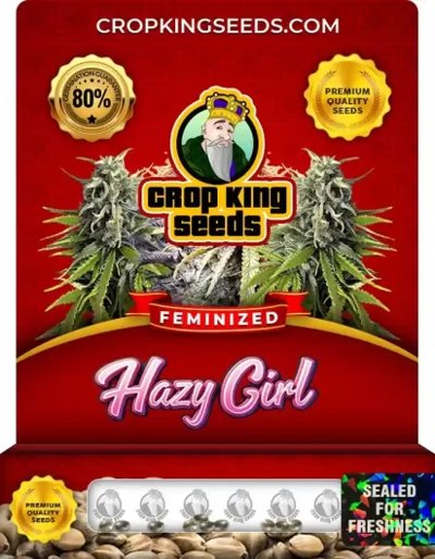 Hazy Girl
