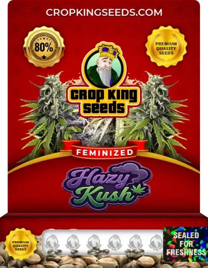 hazy-kush-image