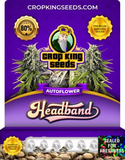 Headband Autoflower