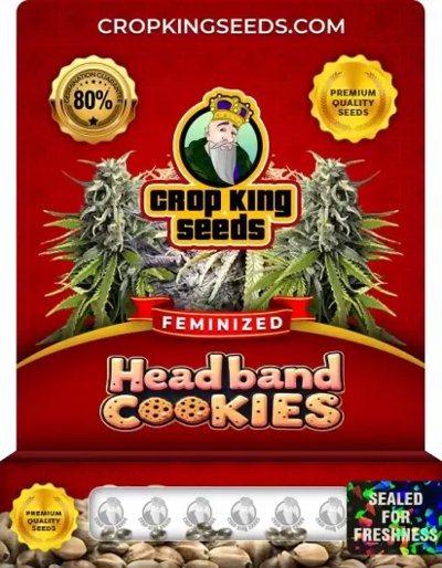 Headband Cookies