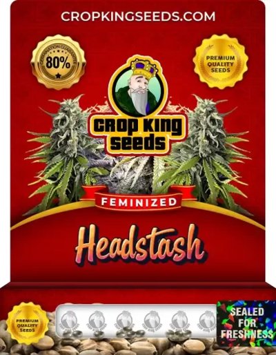 Headstash