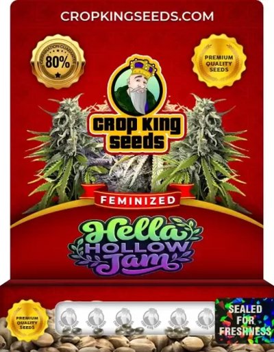Hella Hollow Jam