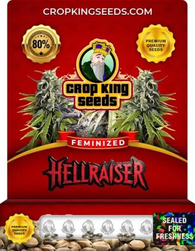 Hellraiser
