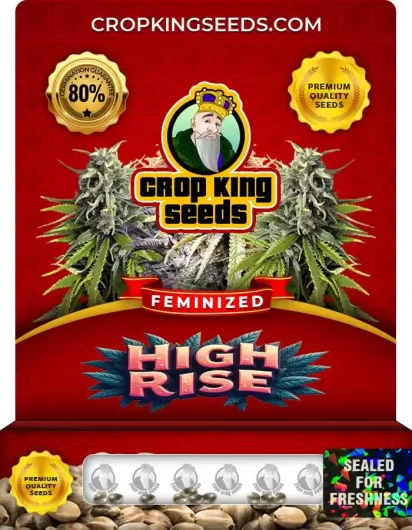 high-rise-image