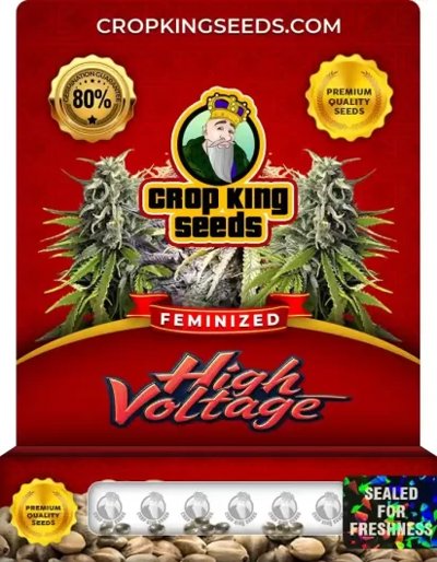 High Voltage