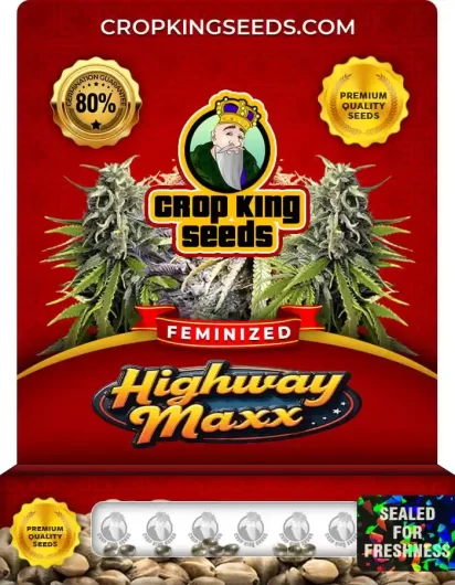 highway-maxx-image