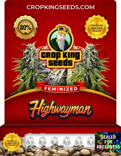 highwayman-image