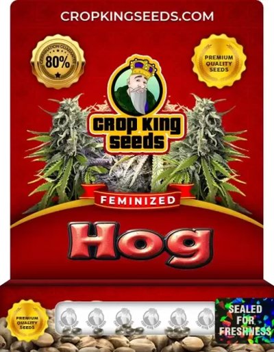 Hog