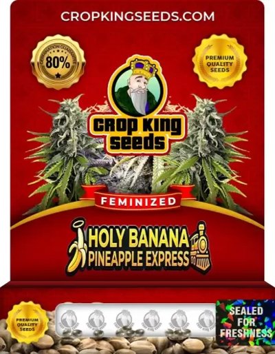 Holy Banana Pineapple Express